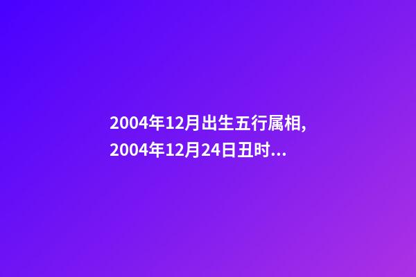2004年12月出生五行属相,2004年12月24日丑时阳历出生男命五 周雨萱是位女生 年龄:11岁 出生日期:2004年12月6日出身。-第1张-观点-玄机派